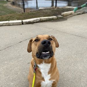 Meet your Posher, Joanna